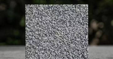 白城 芝麻黑荔枝面