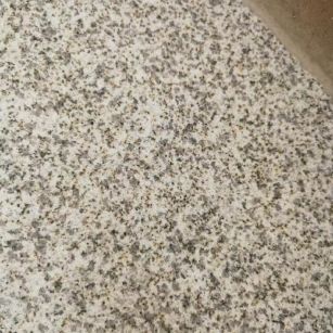 白城 黄金麻中黄光面