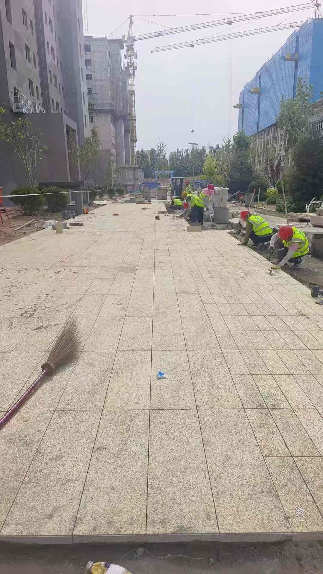 白城黄金麻荔枝面地铺案例